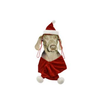 Cosy @ Home Kerstpakje Voor Hond Muts+sjaal